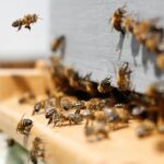 placeholder-16-9-ratio Featured image placeholder 16:9